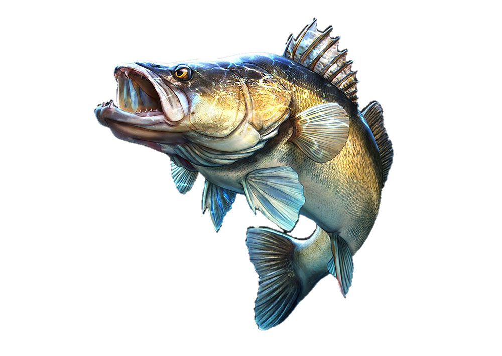 TECHNIQUE SPECIFIC ROD SELECTOR - WALLEYE EDITION