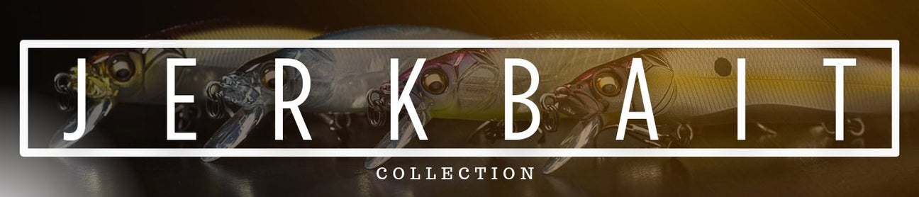 JERK BAIT ROD RECOMMENDATIONS