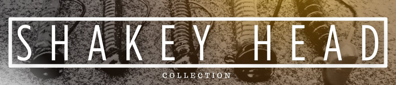 SHAKEY HEAD ROD RECOMMENDATIONS