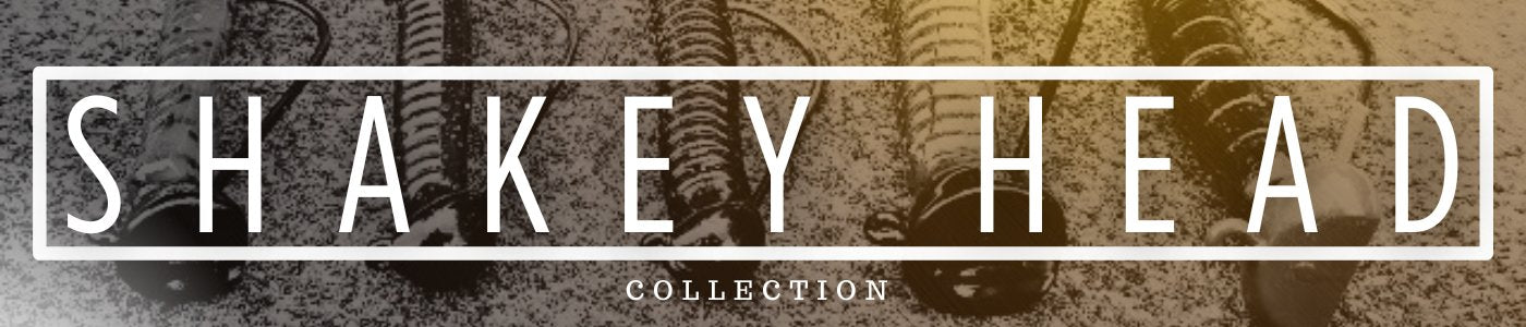 SHAKEY HEAD ROD RECOMMENDATIONS