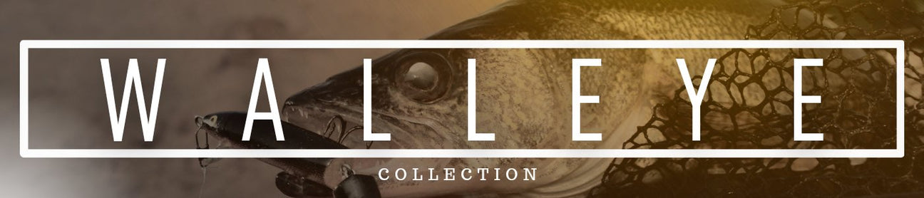 WALLEYE ROD RECOMMENDATIONS